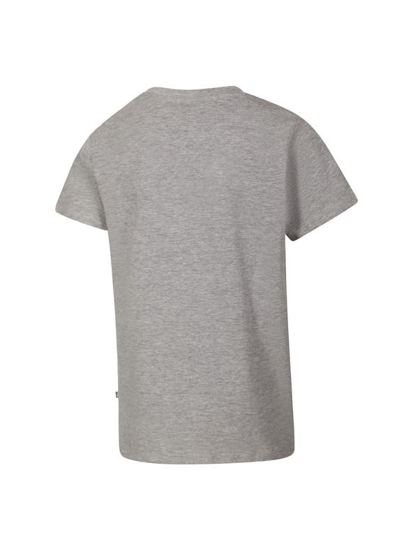 ALPINE PRO Kinder-Schnelltrocknendes T-Shirt ALPINE PRO REJO gray varianta pb