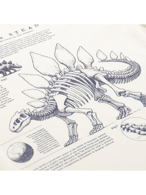 ALPINE PRO Kinder-T-Shirt aus Bio-Baumwolle ALPINE PRO ECCO 2 creme Variante pf