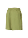 ALPINE PRO Herren-Sportshorts ALPINE PRO NOREL turtle green