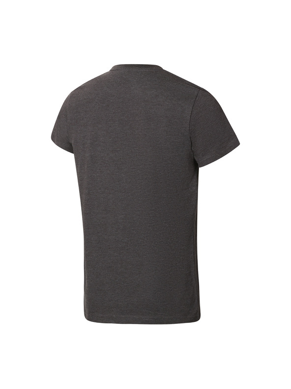ALPINE PRO Herren Sport-T-Shirt mit Cool-Dry ALPINE PRO BOLEN dk. true gray Variante pb