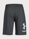 Under Armour Herren-Shorts Under Armour Sportstyle Cotton Graphic Short