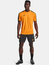 Under Armour Herren-Shorts Under Armour Challenger Knit Short