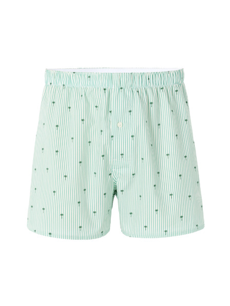 Celio Boxershorts Niwopalmi