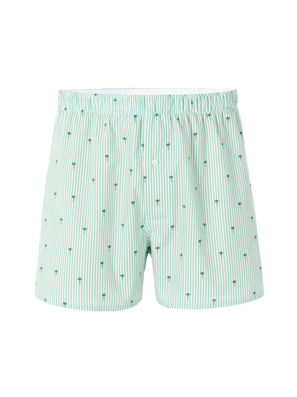 Celio Boxershorts Niwopalmi