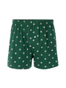 Celio Boxershorts Niwoflower