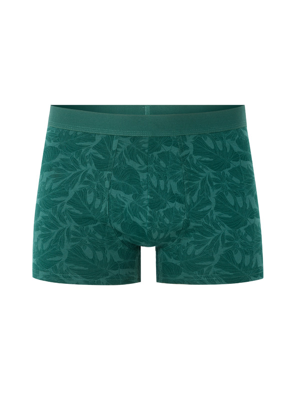 Celio Boxershorts Nibovegeta