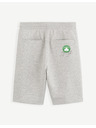 Celio NBA Boston Celtics Shorts