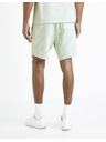 Celio Doflower Shorts
