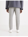 Celio Graue Herrenhose Celio 24H Avoclair