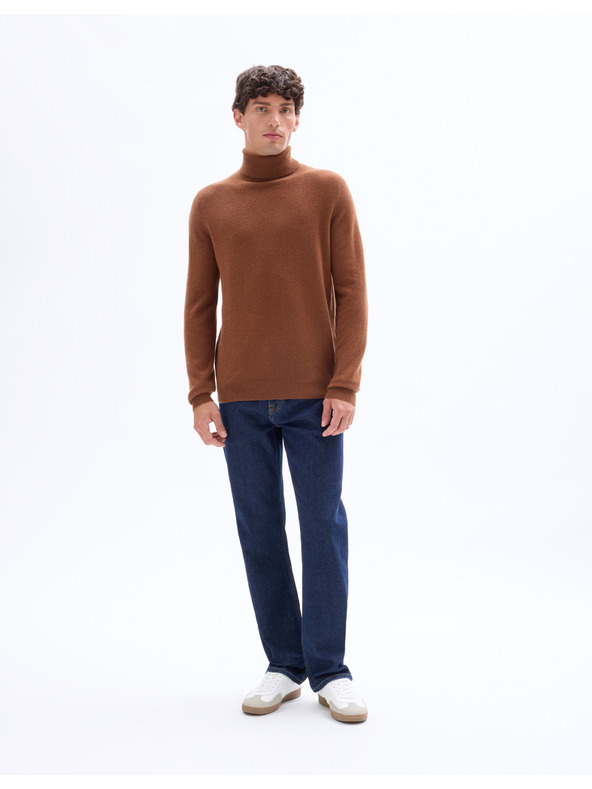 Celio Kaschmir-Rollkragenpullover Jehigh