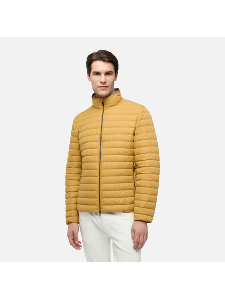 Geox Gelbe Herren-Daunenjacke Geox Warrens