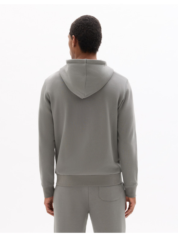 Celio Kapuzenpullover Fethree