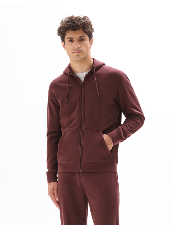 Celio Kapuzenpullover Fethree