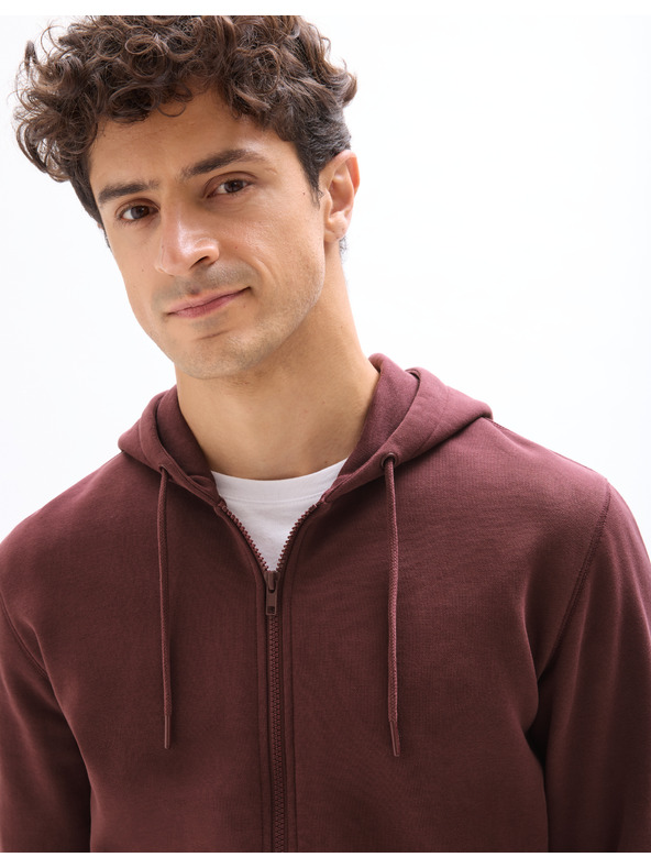 Celio Kapuzenpullover Fethree