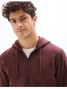 Celio Kapuzenpullover Fethree