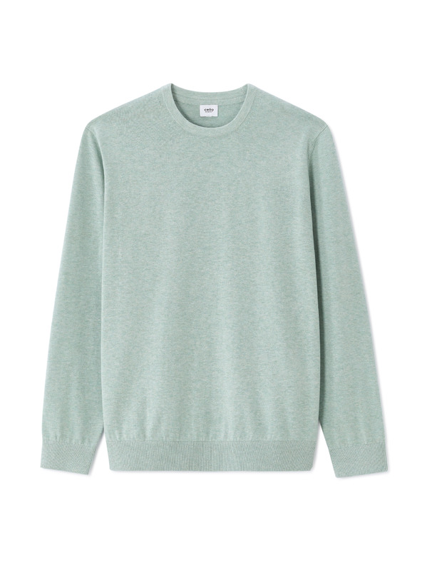 Celio Glatter Decoton-Pullover