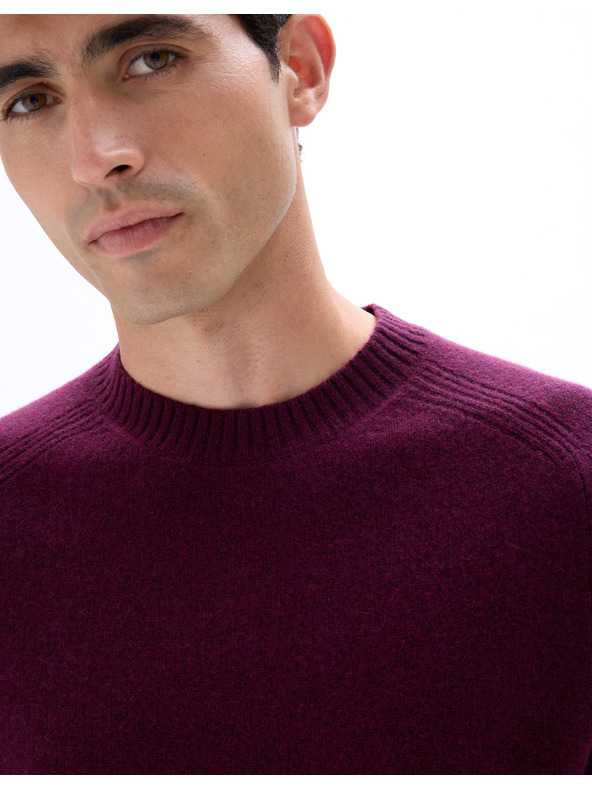 Celio Cewool Wollpullover