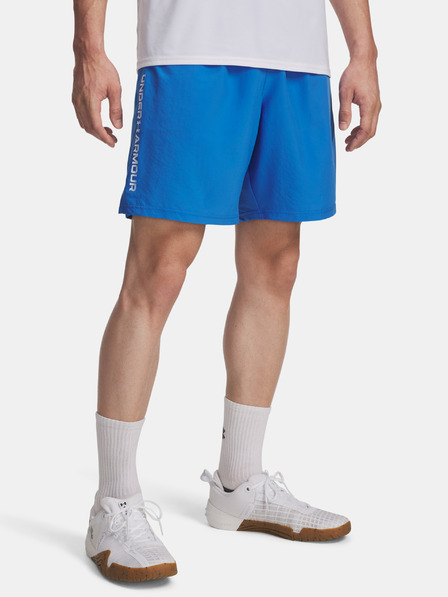 Under Armour Herren Under Armour UA Tech Woven Wordmark Short-BLU