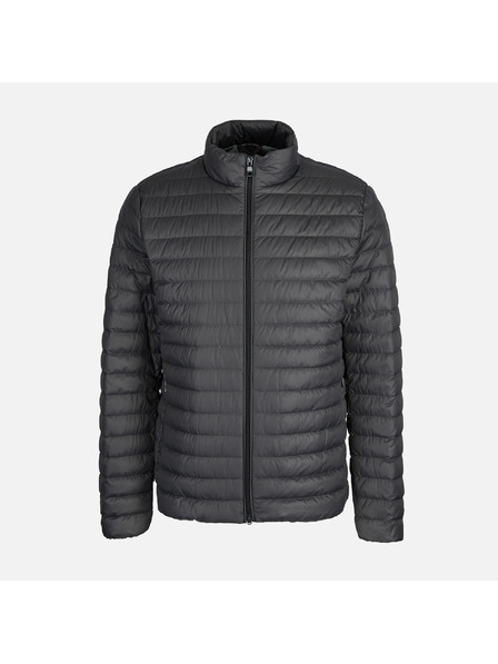 Geox Graue Herrendaunenjacke Geox Warrens