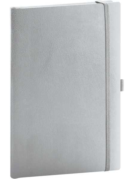 NOTIQUE NOTIQUE Notes Balacron, silber, gepunktet, 15 x 21 cm