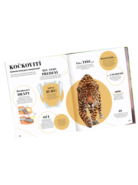 ELLA & MAX 5 MINUTEN UND ICH WEIS: NATUR – 1000+ grundlegende Informationen