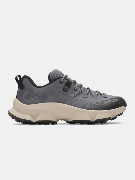 Under Armour Herren-Stiefel Under Armour UA Charged Expanse Low WP