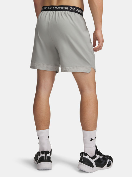 Under Armour Herren Under Armour UA Vanish Woven 6in Shorts