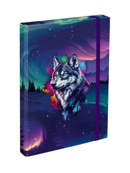 BAAGL  BAAGL Schulhefte-Mappen A4 Aurora