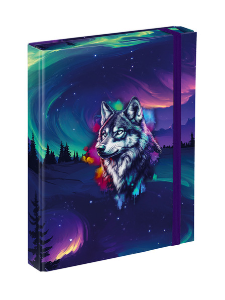 BAAGL  BAAGL Schulhefte-Mappen A5 Aurora