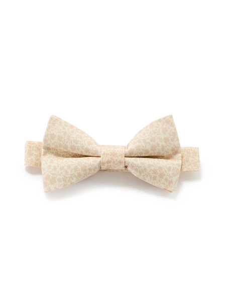 Celio Fliege Nibowaop1