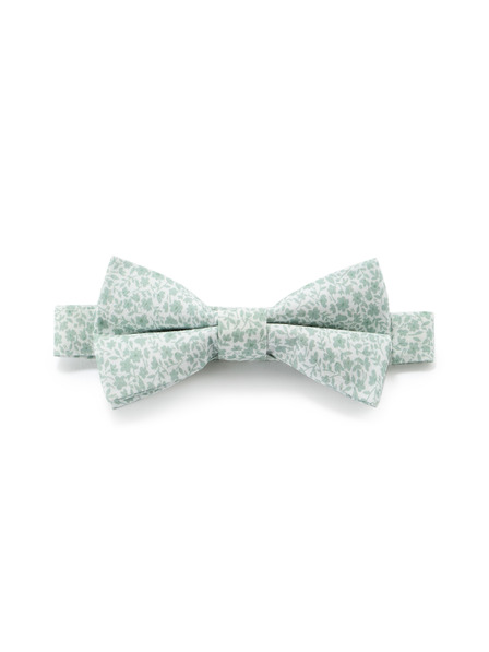 Celio Fliege Nibowaop1