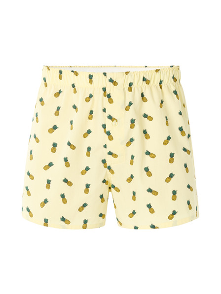 Celio Boxershorts Niwoananas