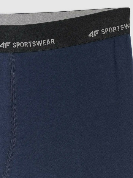 4F Herren-Boxershorts 4F Falcon (2er-Pack)