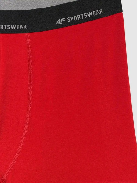 4F Herren-Boxershorts 4F Falcon (2er-Pack)