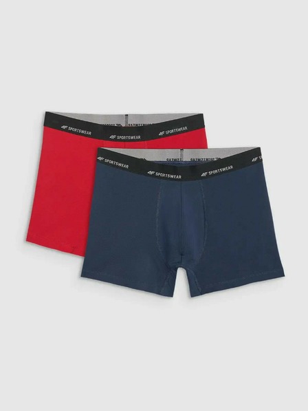 4F Herren-Boxershorts 4F Falcon (2er-Pack)