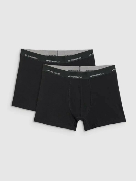 4F Herren-Boxershorts 4F Falcon (2er-Pack)
