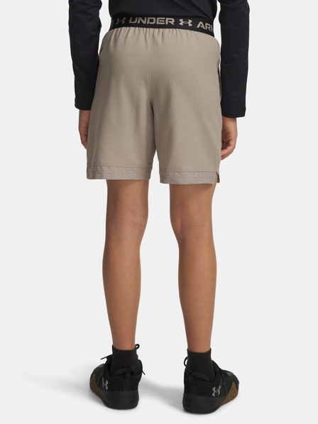 Under Armour Jungen-Shorts Under Armour UA Vanish Shorts-BRN