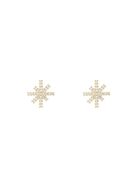 Daniel Wellington Damenohrringe stahl Daniel Wellington Mirelle Star DW00401611