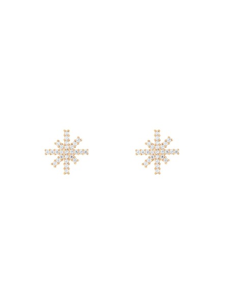 Daniel Wellington Damenohrringe stahl Daniel Wellington Mirelle Star DW00401612