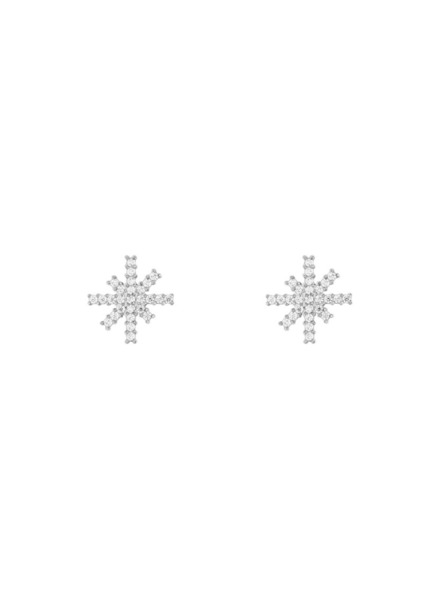 Daniel Wellington Damenohrringe stahl Daniel Wellington Mirelle Star DW00401613