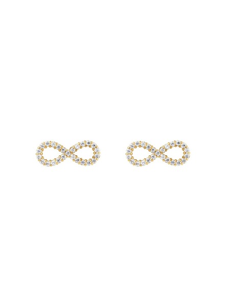 Daniel Wellington Damenohrringe stahl Daniel Wellington Mirelle Infinity DW00401614