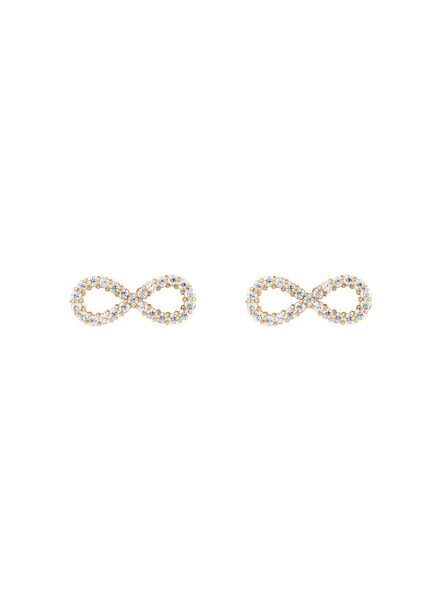 Daniel Wellington Damenohrringe stahl Daniel Wellington Mirelle Infinity DW00401615