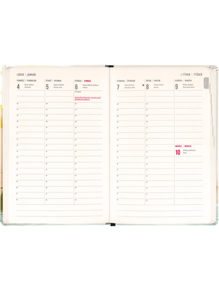 NOTIQUE NOTIQUE 18-Monats-Tagebuch Petito – Capybara 2026/2027, 11 x 16 cm