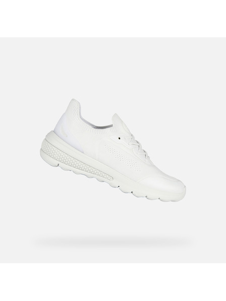 Geox Tennisschuhe