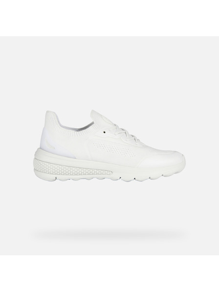 Geox Tennisschuhe