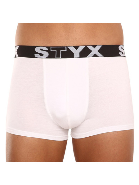 Styx Fünfer-Set - Herren-Boxershorts Styx Sportgummi mehrfarbig
