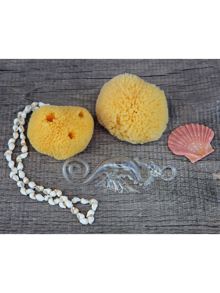 Caribbean Sun Set aus zwei - Premium Intim Menstruationsschwamm S