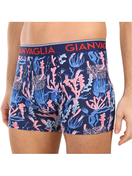 Gianvaglia Satz aus fünf - Herrenboxershorts Gianvaglia mehrfarbig