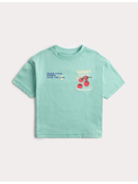 Marks & Spencer T-Shirt aus reiner Baumwolle mit Grafikmuster (2–8 Jahre) Marks & Spencer grün