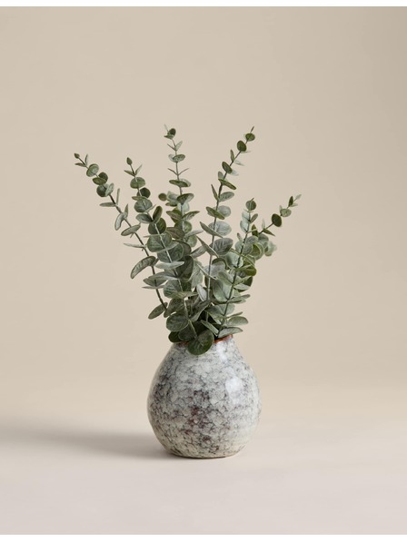 Marks & Spencer Eukalyptus-Arrangement in Keramiktopf Marks & Spencer grün